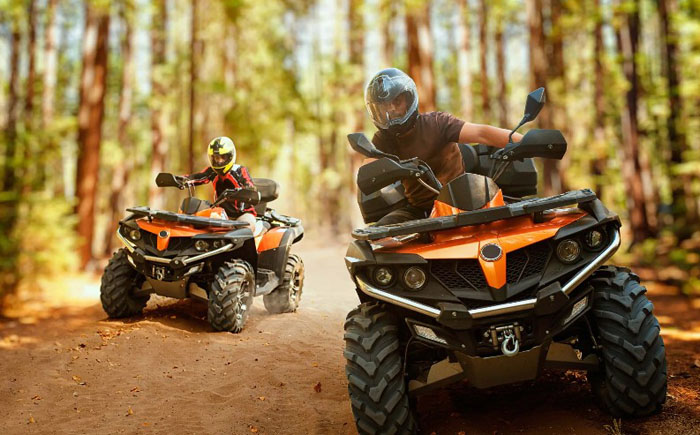 квадрики в лесу