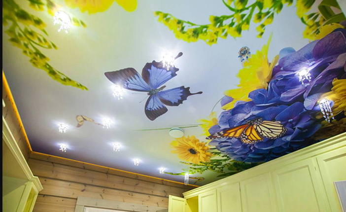 Натяжной потолок с фотопечатью